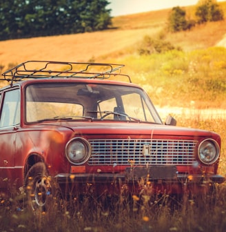 classic red car on grass field