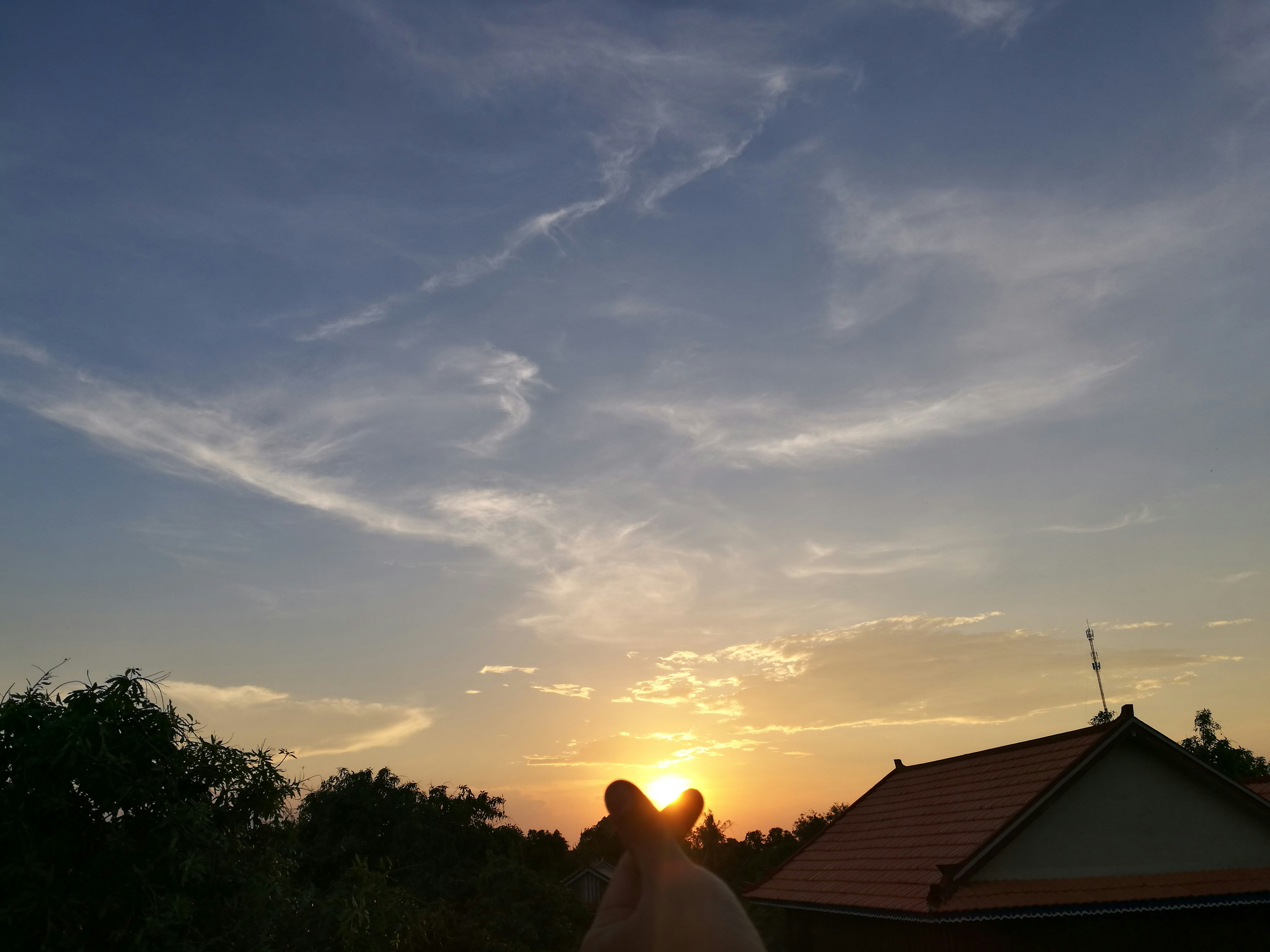 Free Unsplash photo from shiro bi