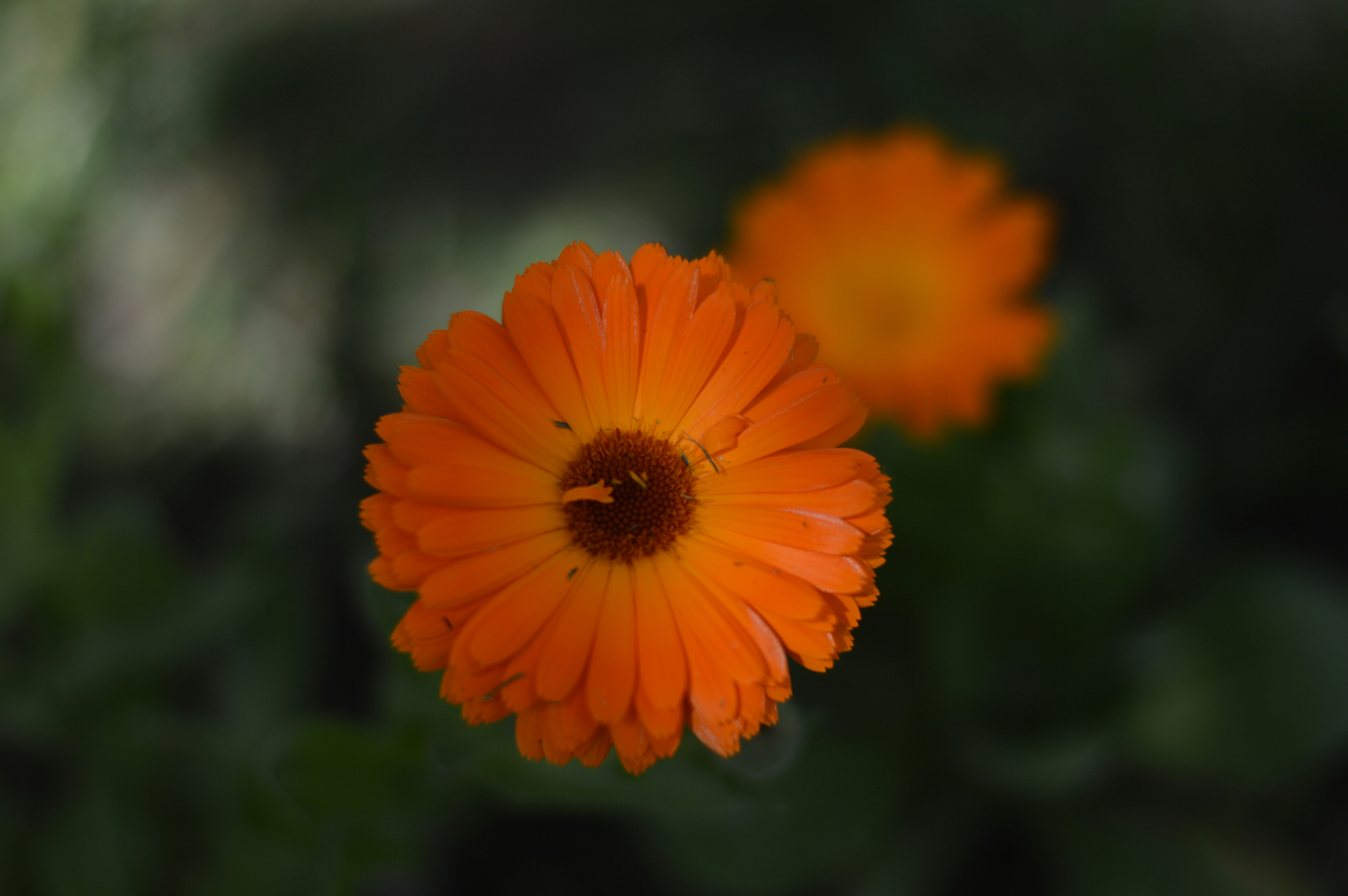 Free Unsplash photo from Farhad Khodayari