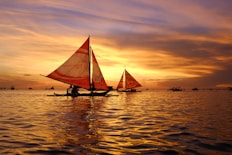 silhouette of sail boats floating on body of water