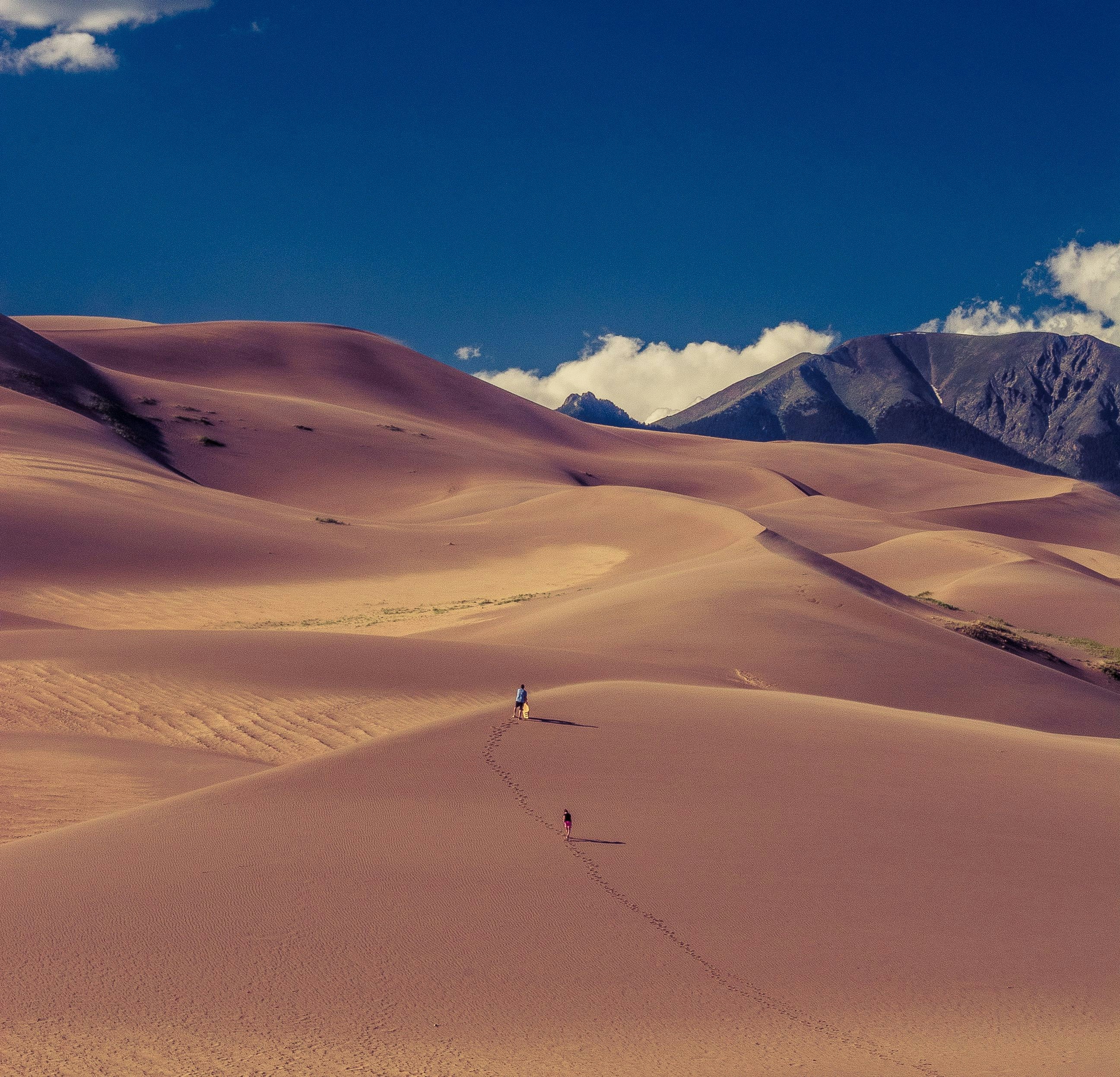 Free Unsplash photo from Brandon Bowman