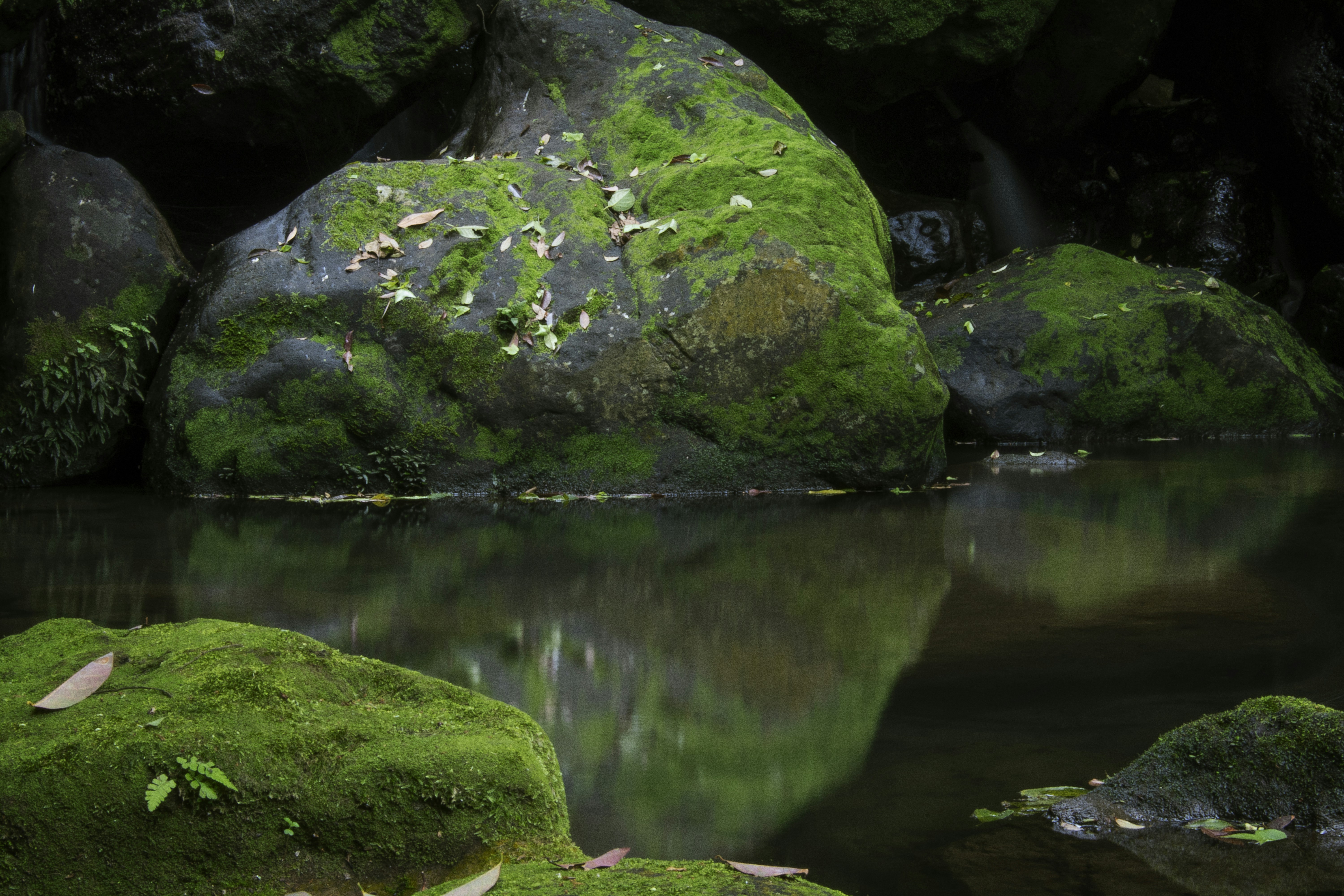 Free Unsplash photo from Danny Kao