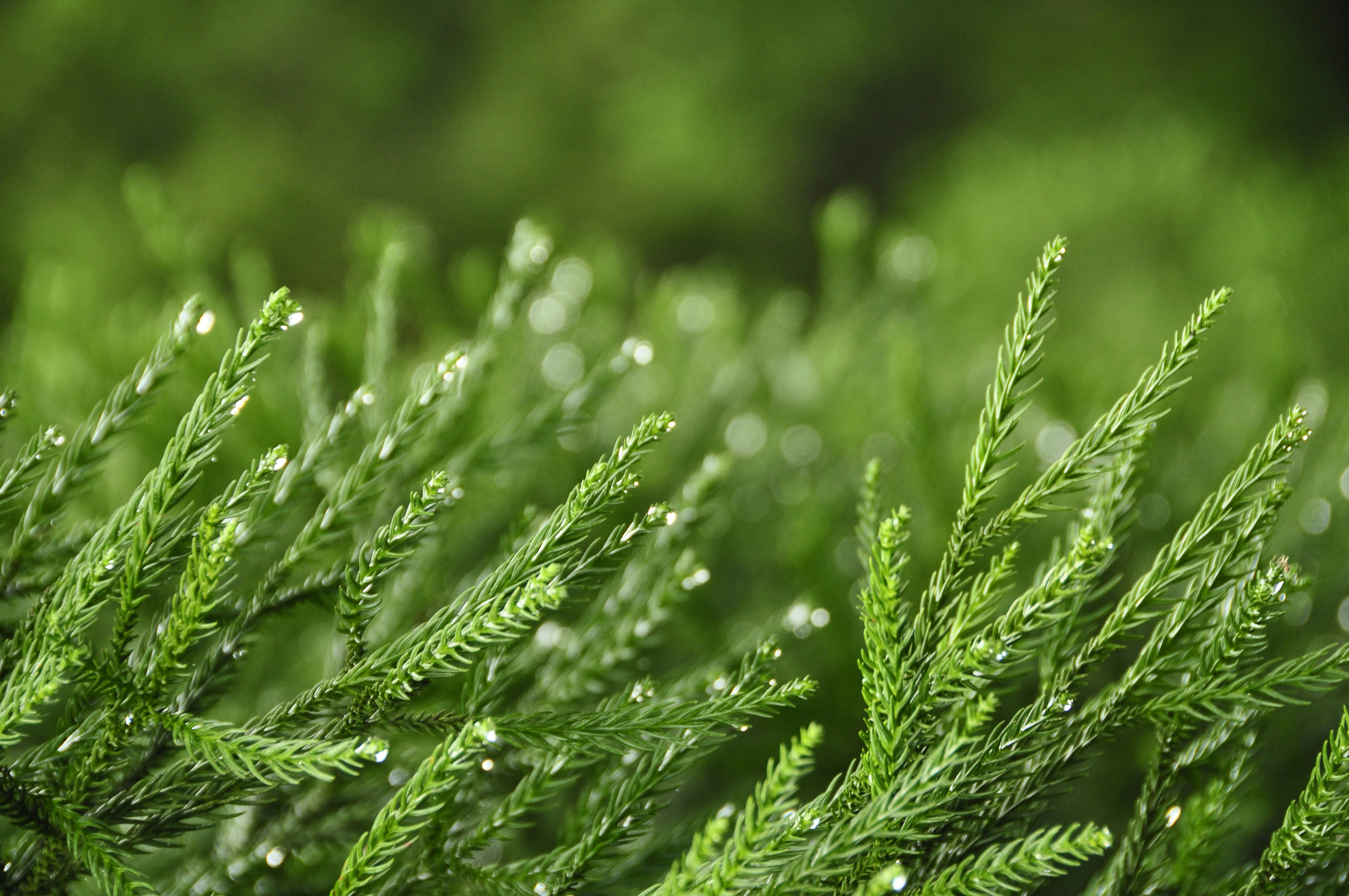 Free Unsplash photo from Danny Kao