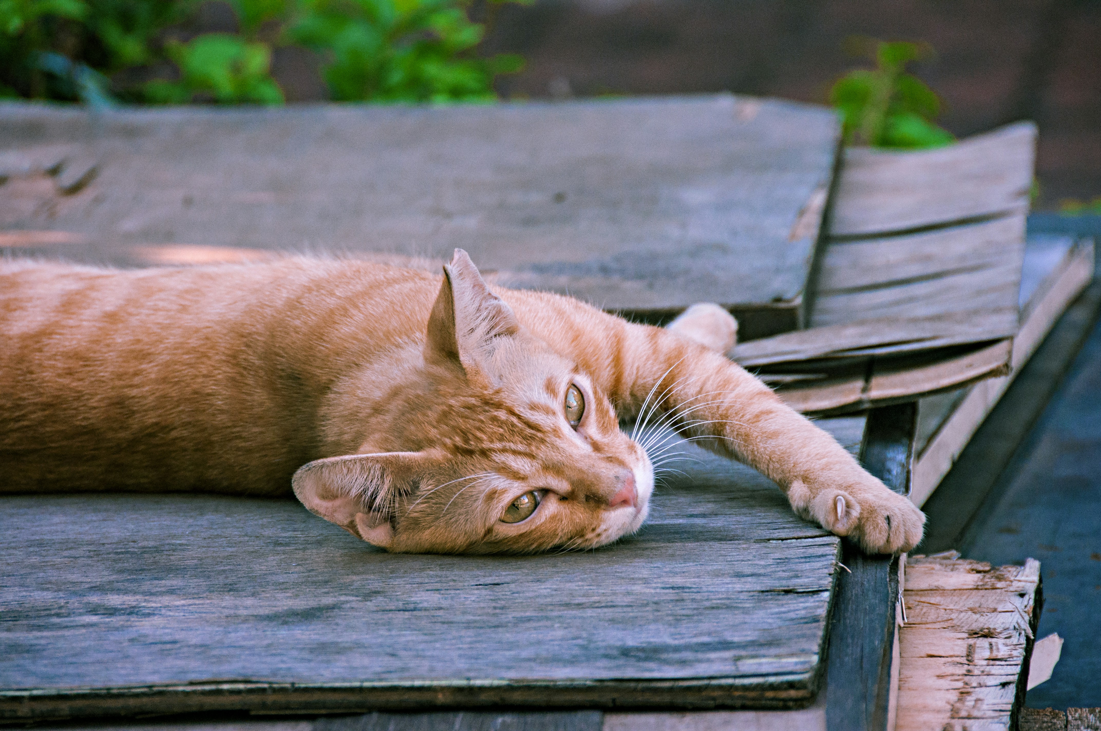 Free Unsplash photo from Danny Kao