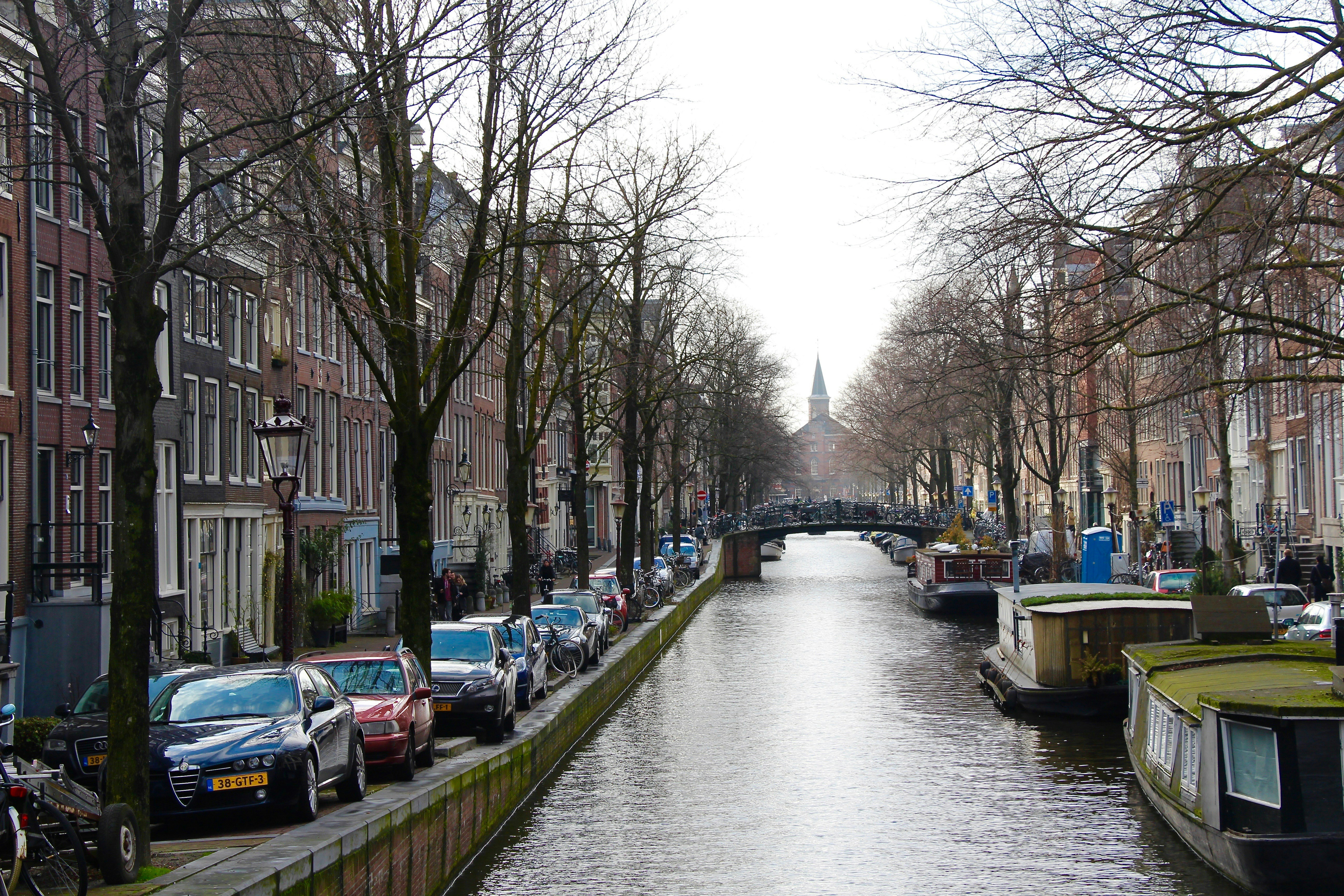 Free Unsplash photo from Rohan Maheshwari