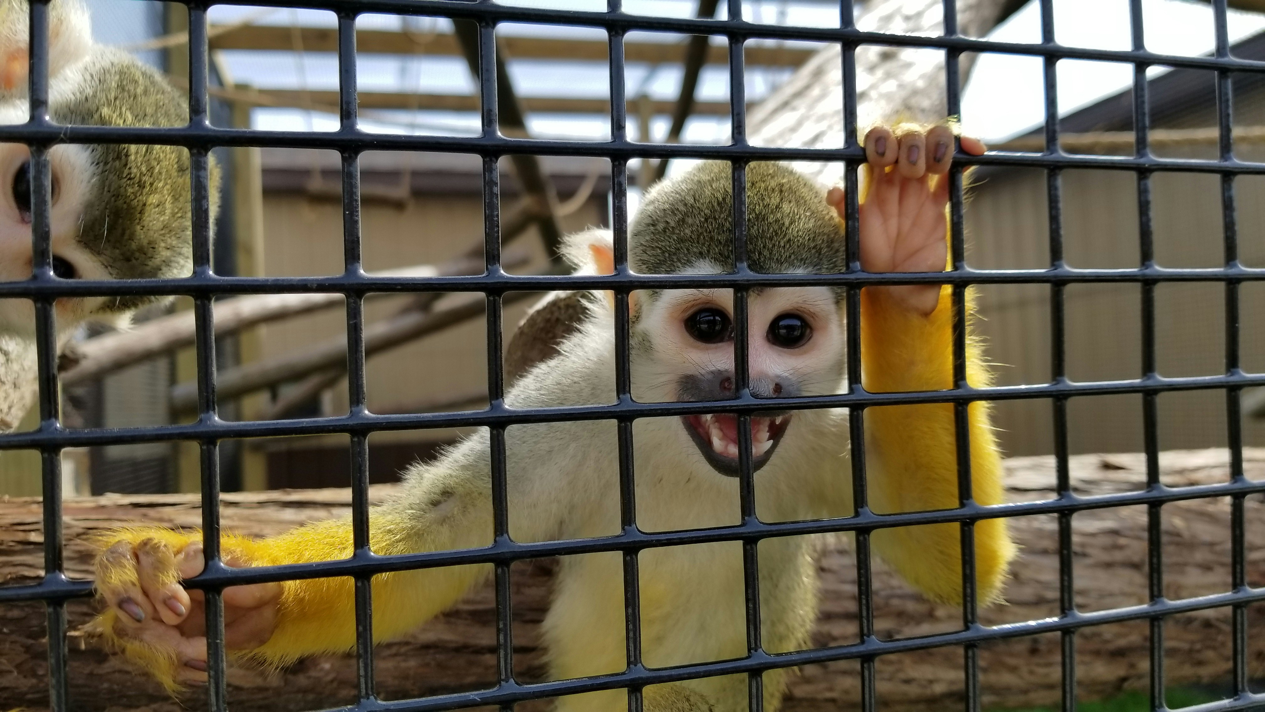 Free Unsplash photo from Gonzalo Ramirez