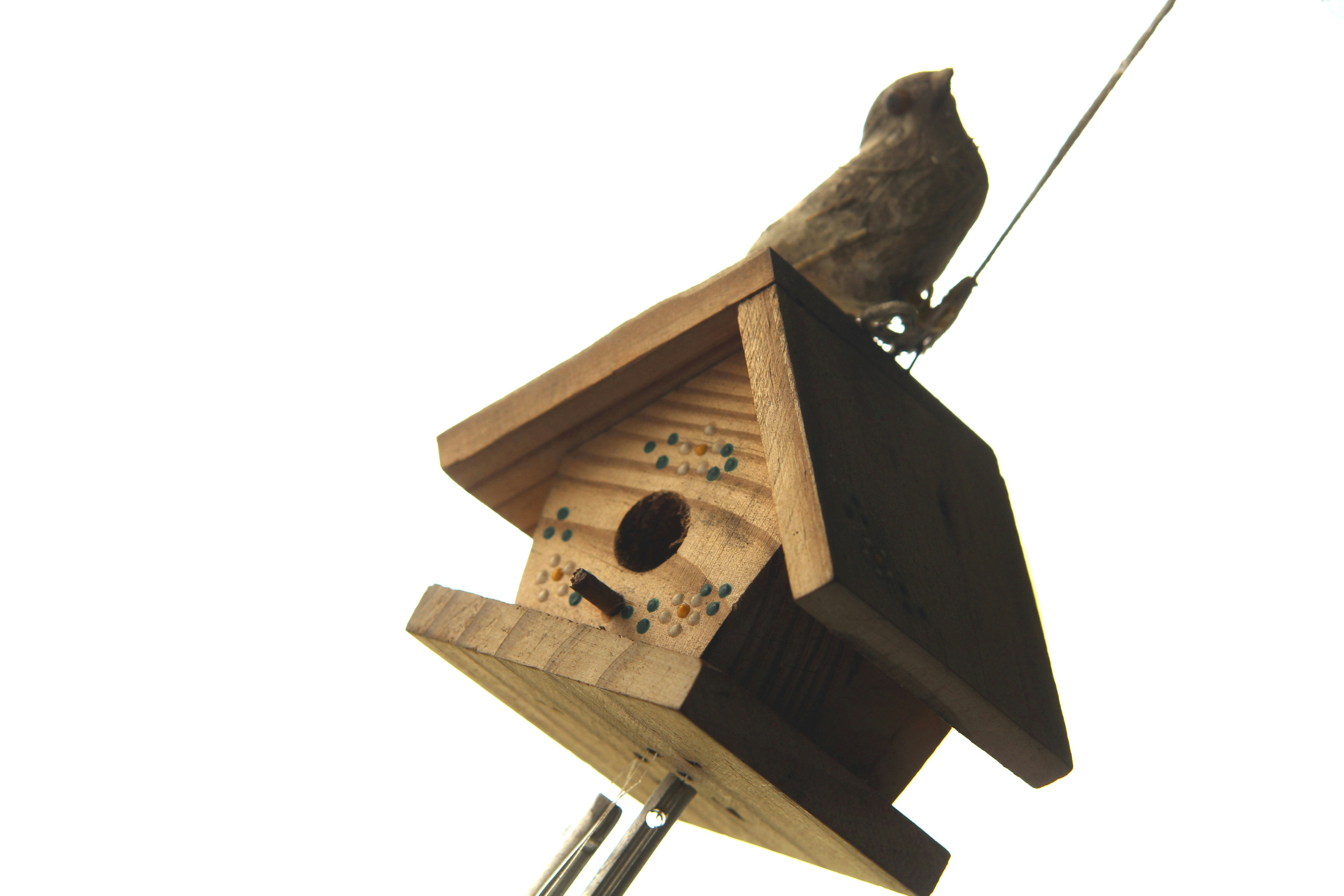 Free Unsplash photo from Eduardo Jaeger