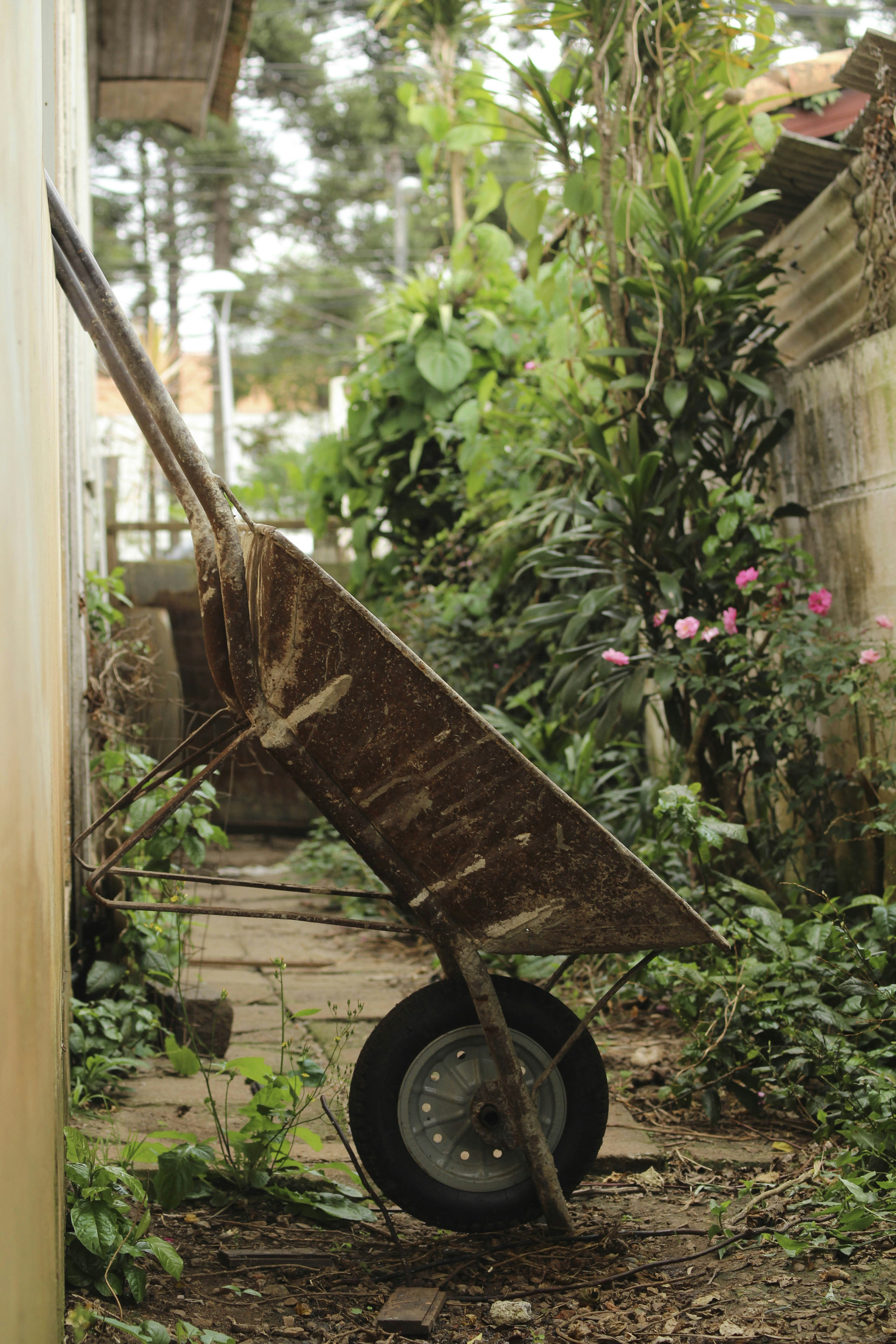 Free Unsplash photo from Eduardo Jaeger