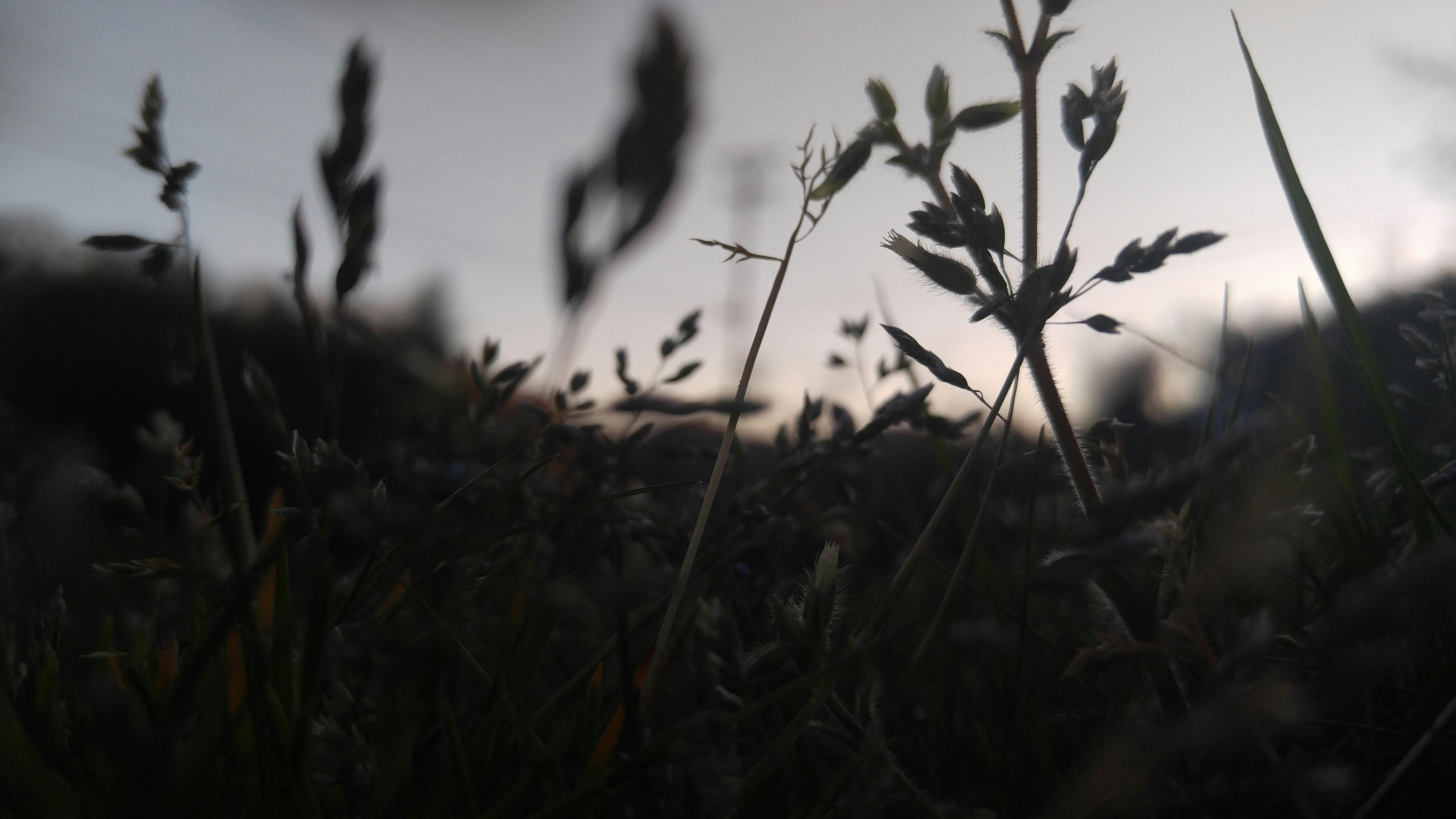 Free Unsplash photo from Josiah Akers