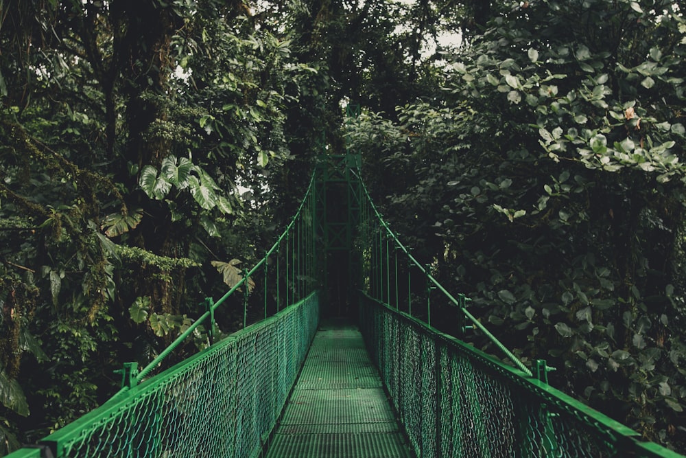 green bridge near trees