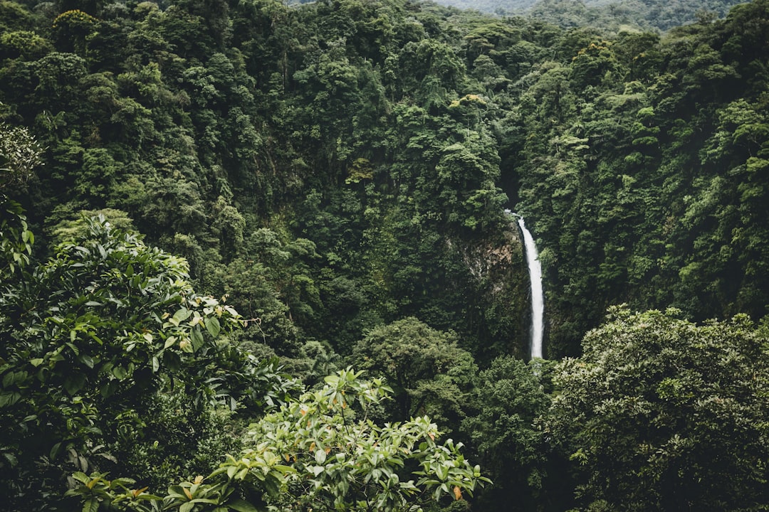 travelers stories about Tropical and subtropical coniferous forests in La Fortuna Waterfall, Costa Rica