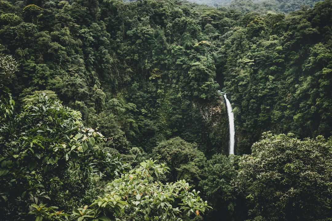 photo of La Fortuna Waterfall Tropical and subtropical coniferous forests near Alajuela