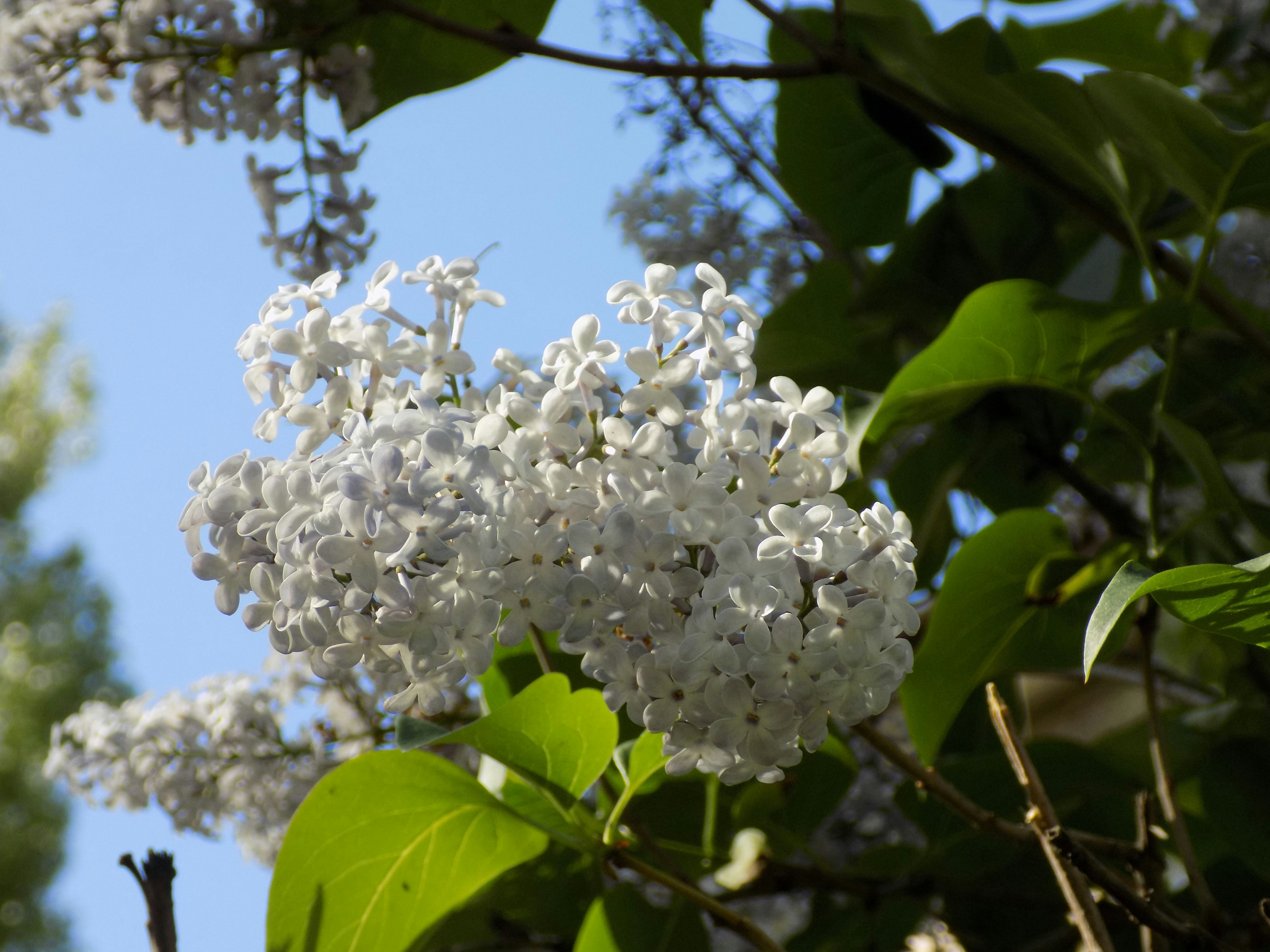 Free Unsplash photo from Oleksandr Nykytenko