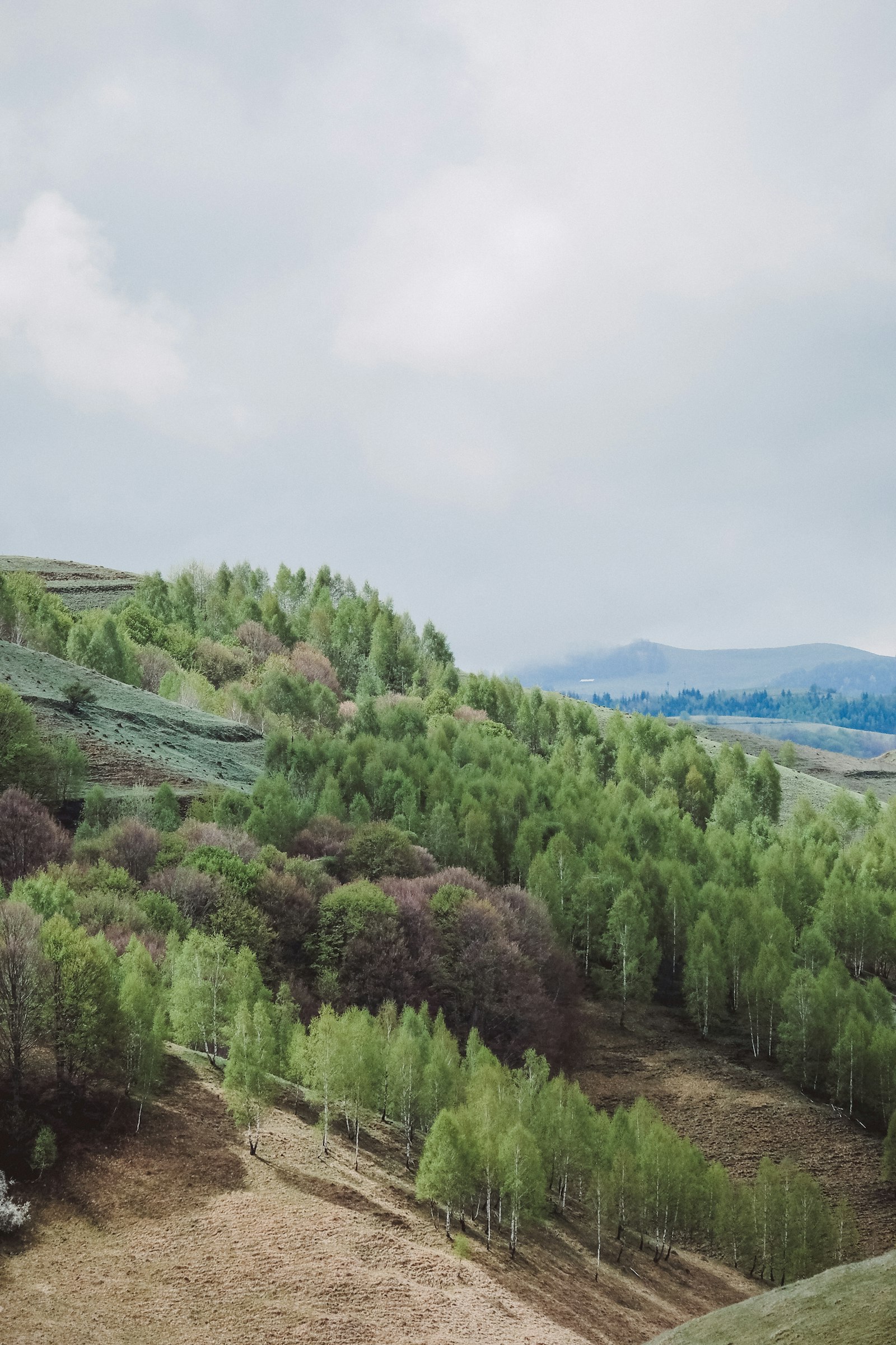 Fujifilm X-E2 + Fujifilm XC 50-230mm F4.5-6.7 OIS sample photo. Aerial view of mountain photography