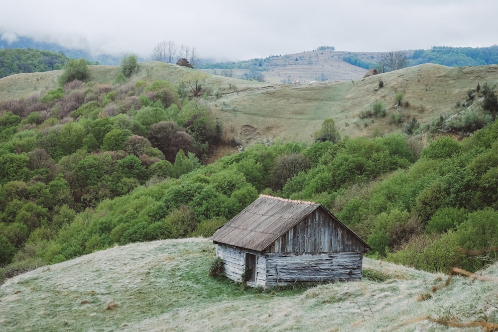 wooden house on top of the hill