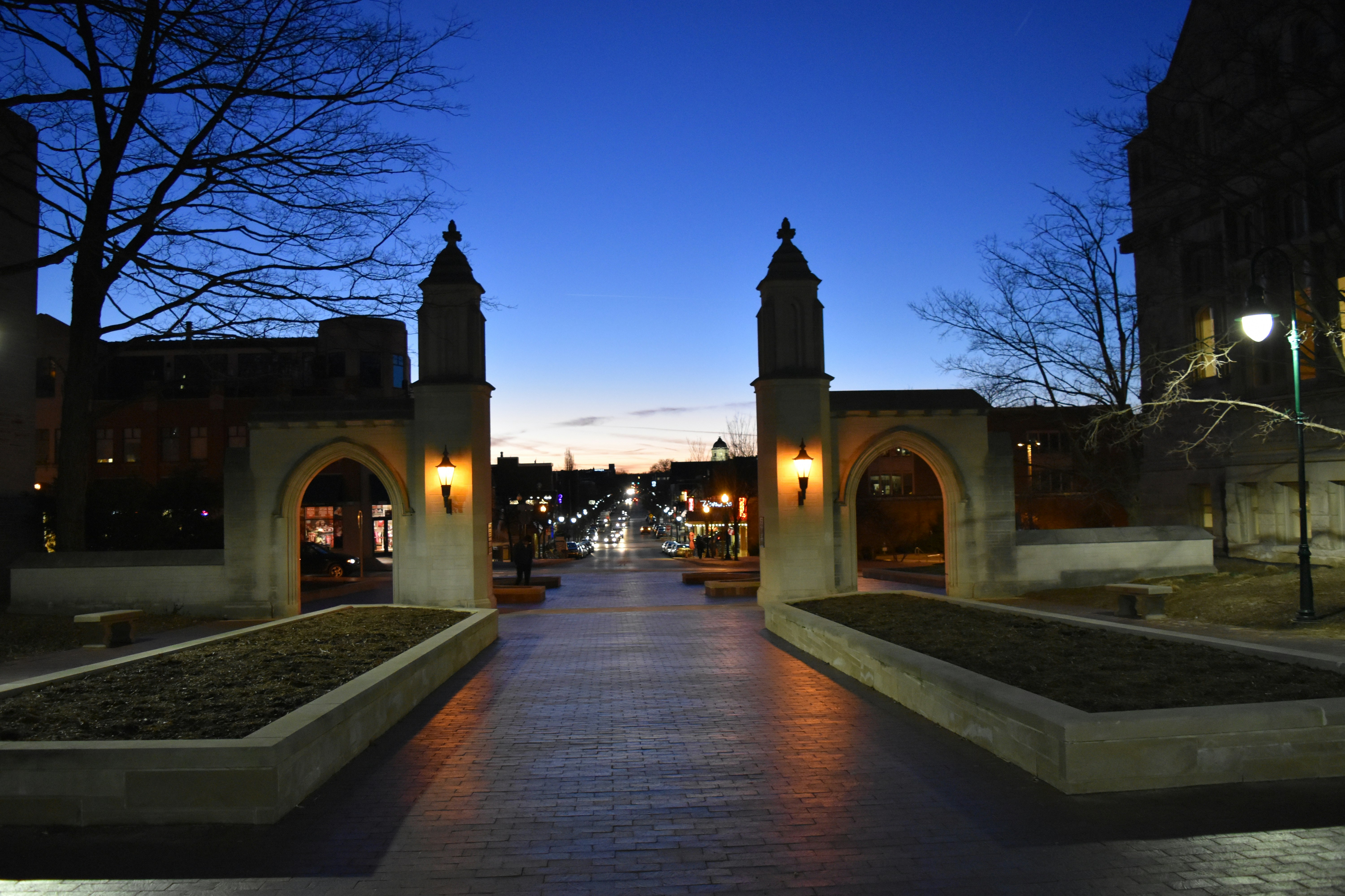 Free Unsplash photo from Caitlin Seitz