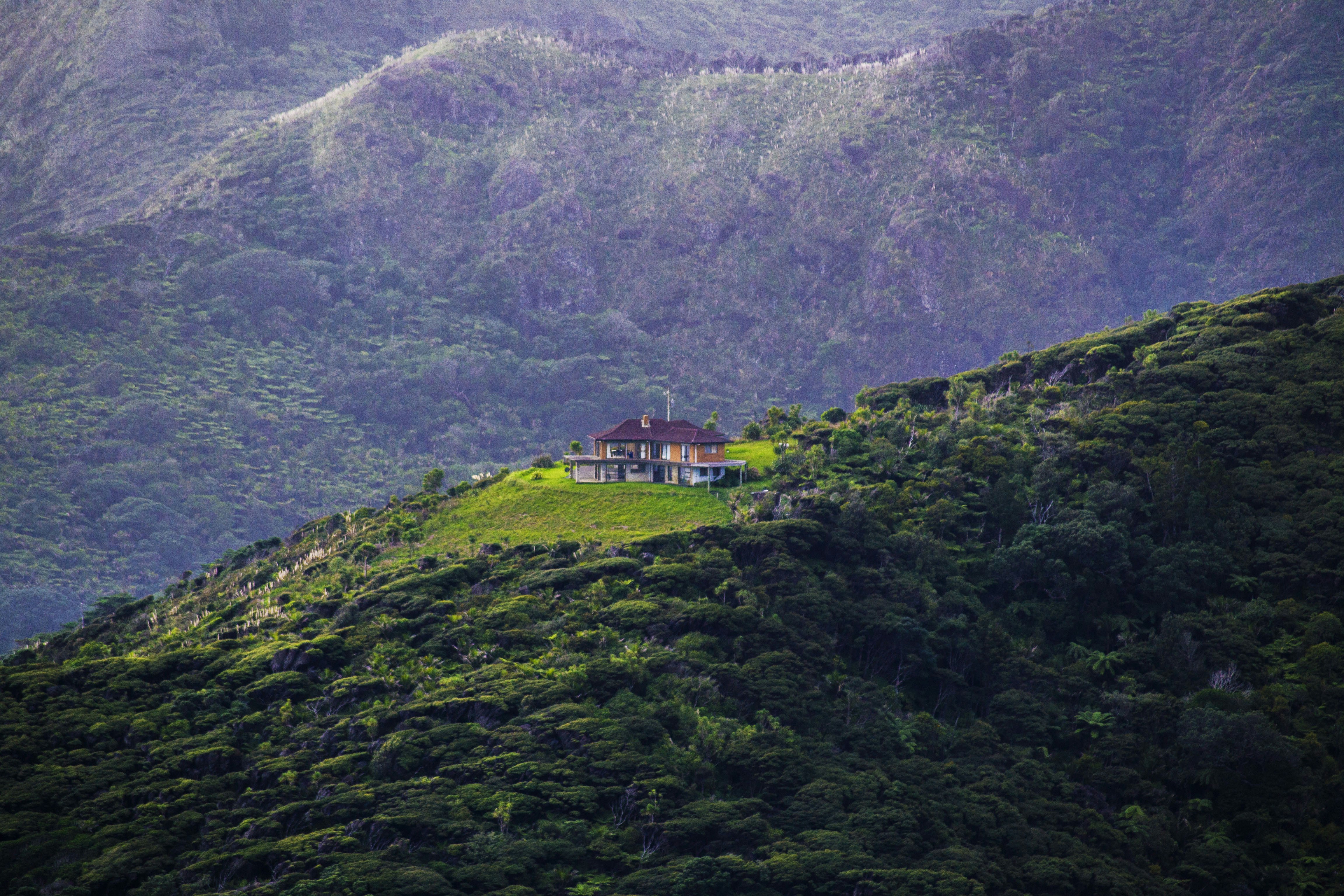 Free Unsplash photo from Anniruth Kannan