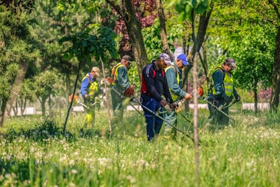 Workers clearing thick weeds and grass from a large commercial property.