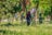 A group of workers is trimming grass in a lush, green park. They are wearing high-visibility vests and using grass-cutting machinery. Tall trees and blooming flowers surround them, and the scene is vibrant and full of greenery.
