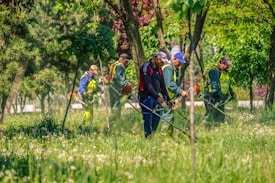 A group of workers is trimming grass in a lush, green park. They are wearing high-visibility vests and using grass-cutting machinery. Tall trees and blooming flowers surround them, and the scene is vibrant and full of greenery.