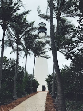 A tall white lighthouse stands prominently surrounded by palm trees. The sky is overcast, creating a moody atmosphere. A paved path leads up to the entrance of the lighthouse, flanked by lush greenery.