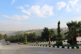 A friendly English-speaking driver welcoming a small group beside a sleek van with lavender fields and rolling hills in the background.