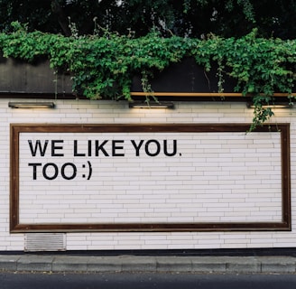 We like you too quotes on wall