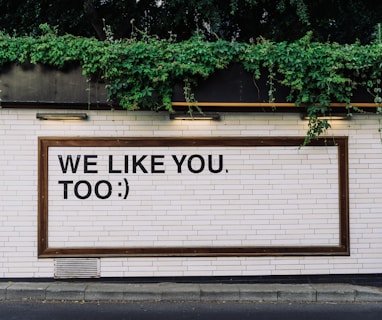 We like you too quotes on wall