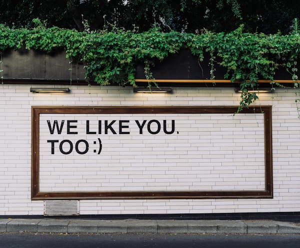 We like you too quotes on wall