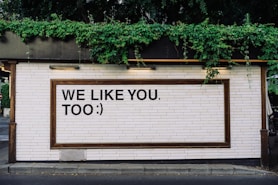 We like you too quotes on wall