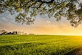 landscape photography of field promoting 3 month 1:1 nutrition counseling package
