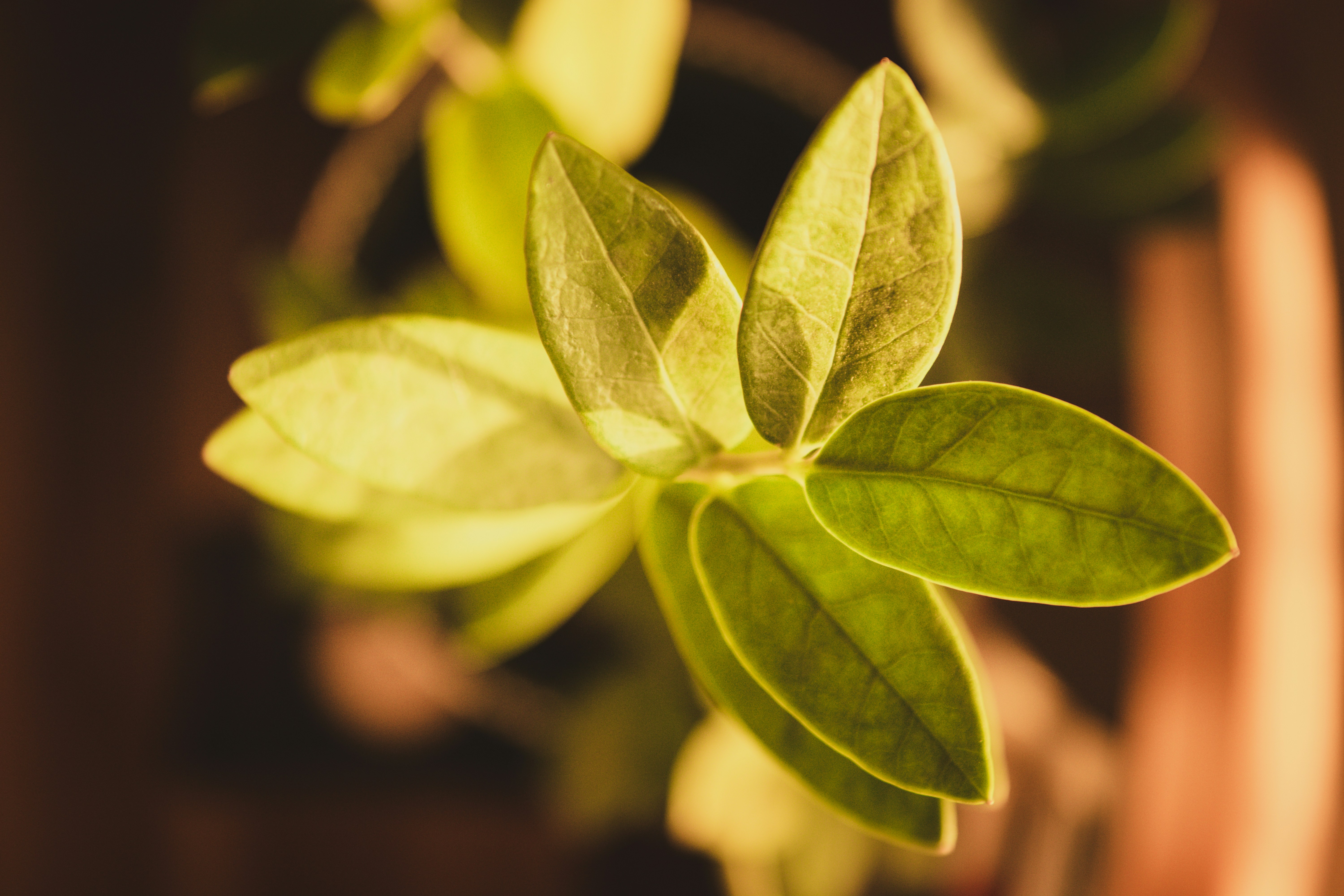 Free Unsplash photo from Mhmd Sedky