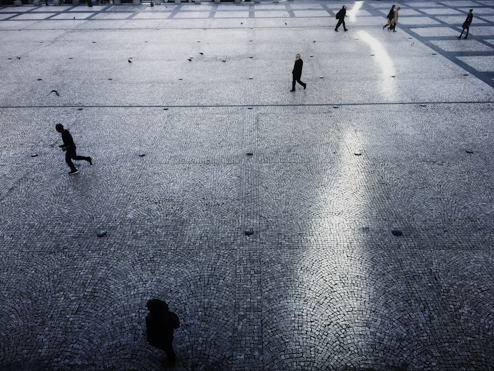 people walking on park during daytime