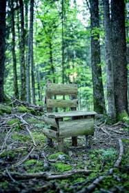 A rustic wooden chair surrounded by nature.