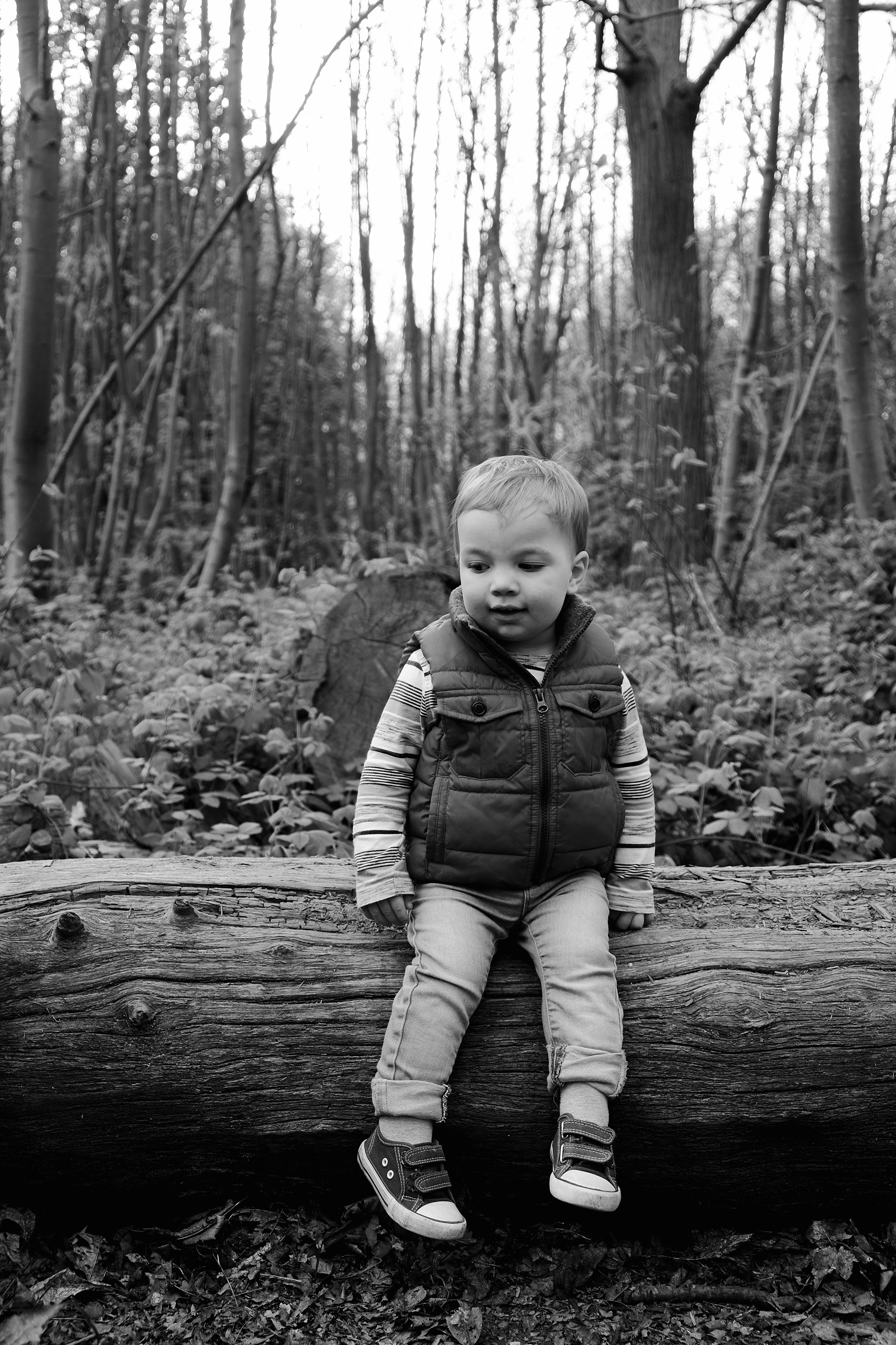 Free Unsplash photo from Lee Moffatt