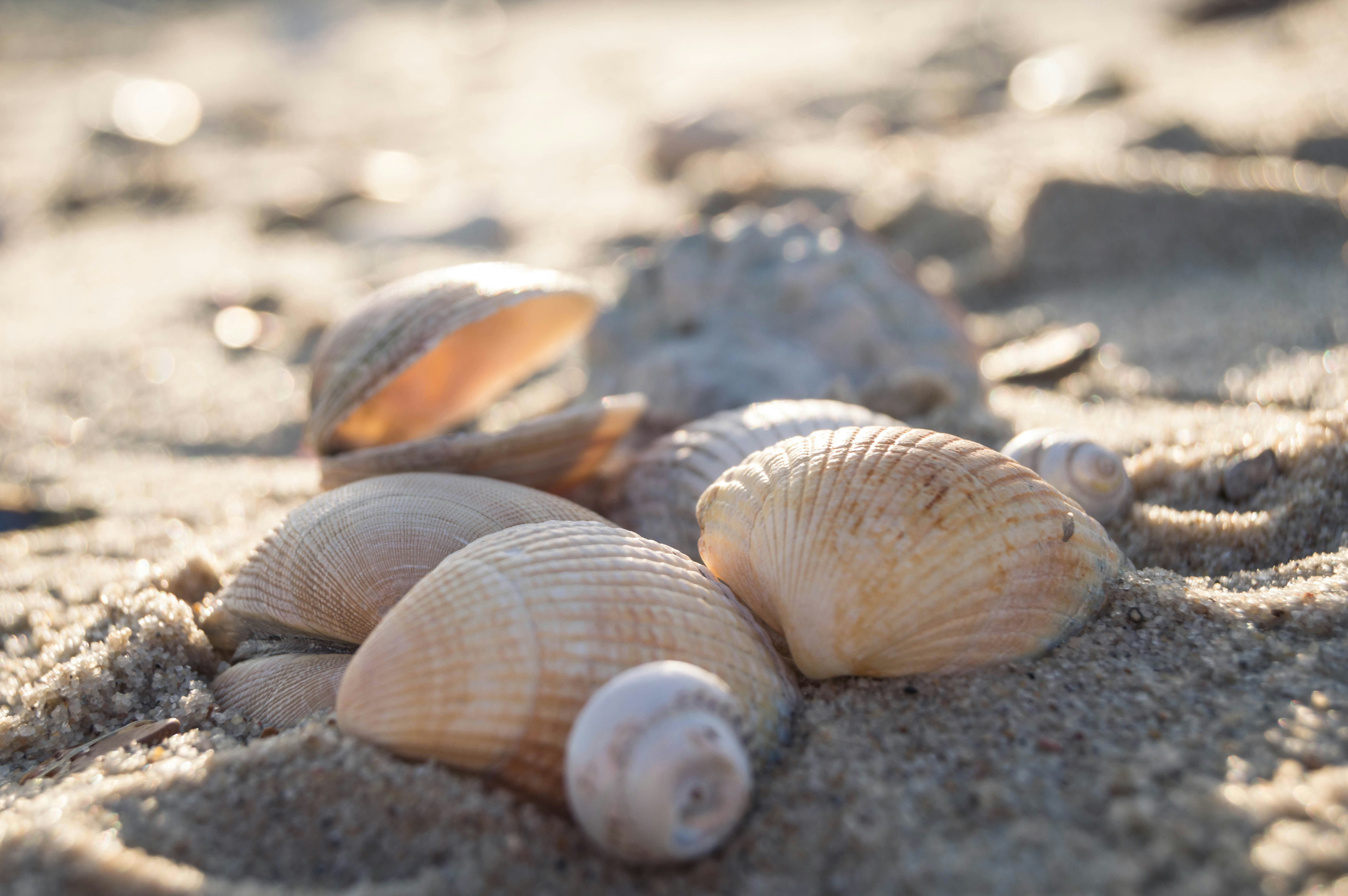 Free Unsplash photo from Phil Pearson