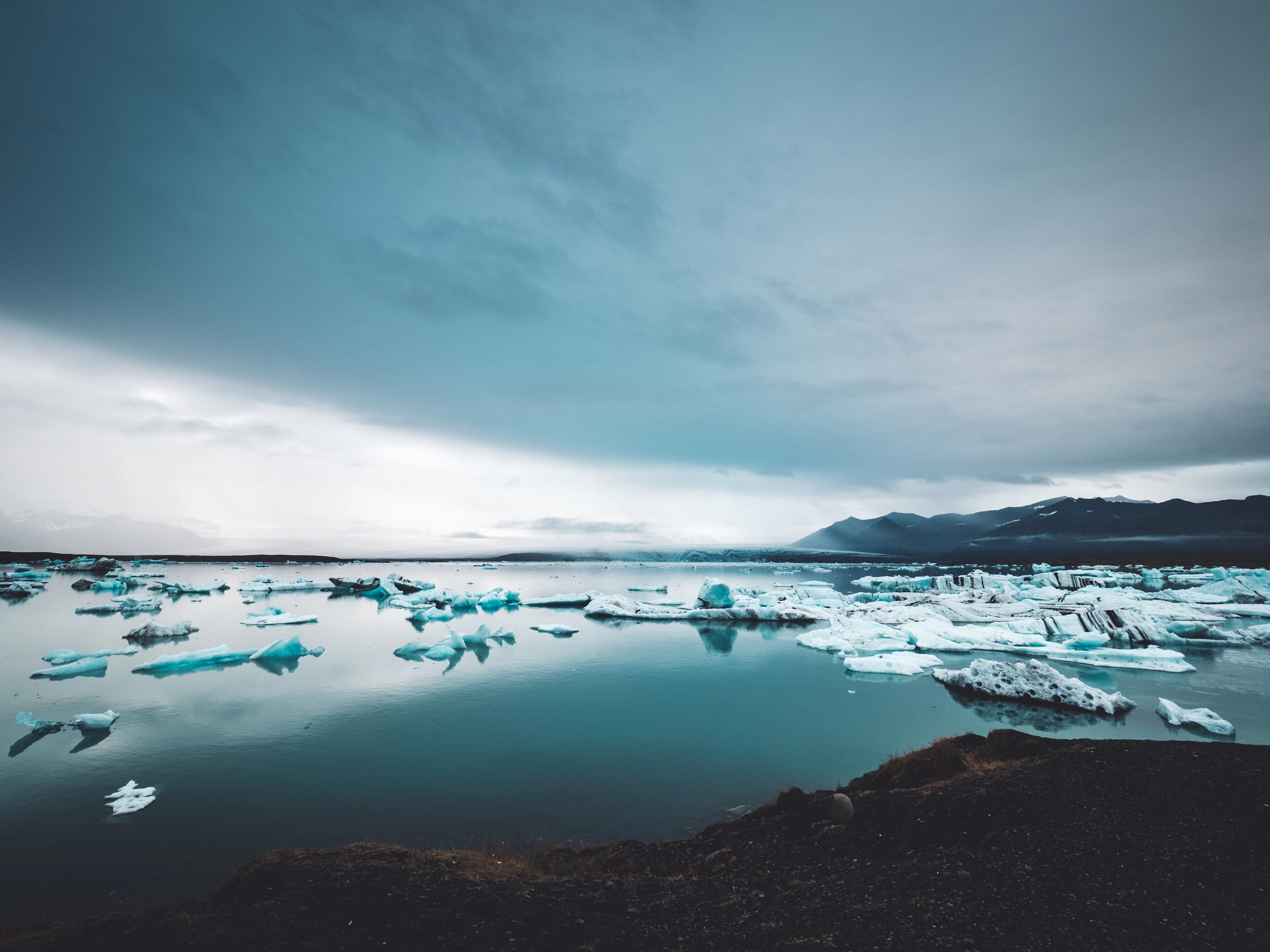 Blue-white icebergs drifting across a still glacial lagoon in Iceland beneath a heavy grey sky.
