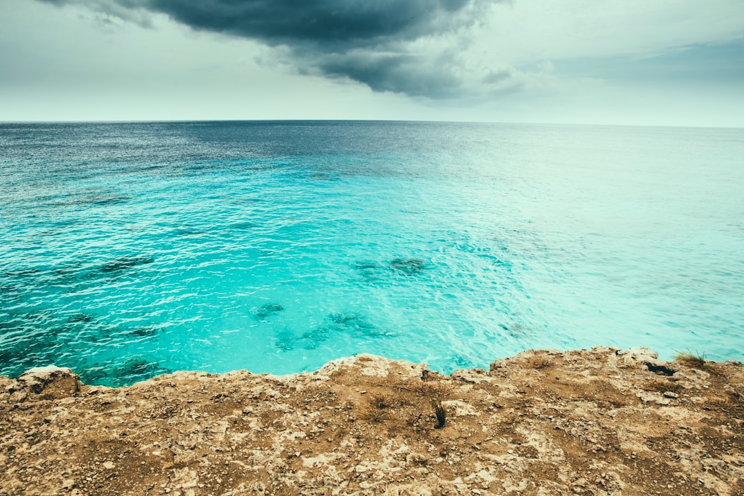 aerial view of body of water during daytime