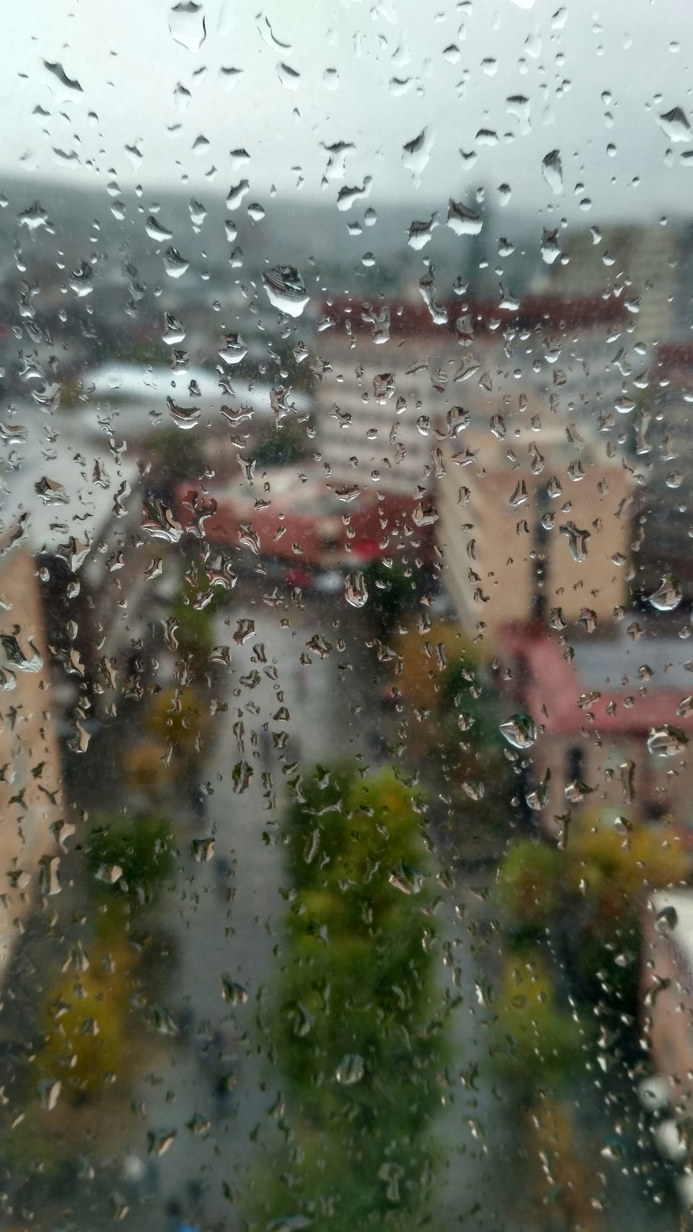 Free Unsplash photo from Gevorg Avetisyan