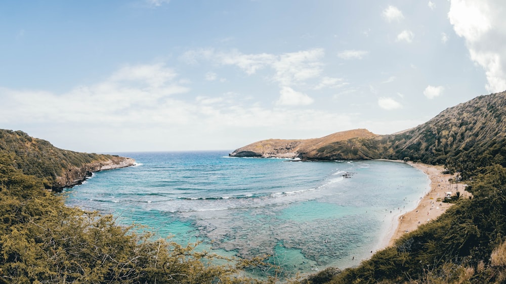 landscape photography of coastline