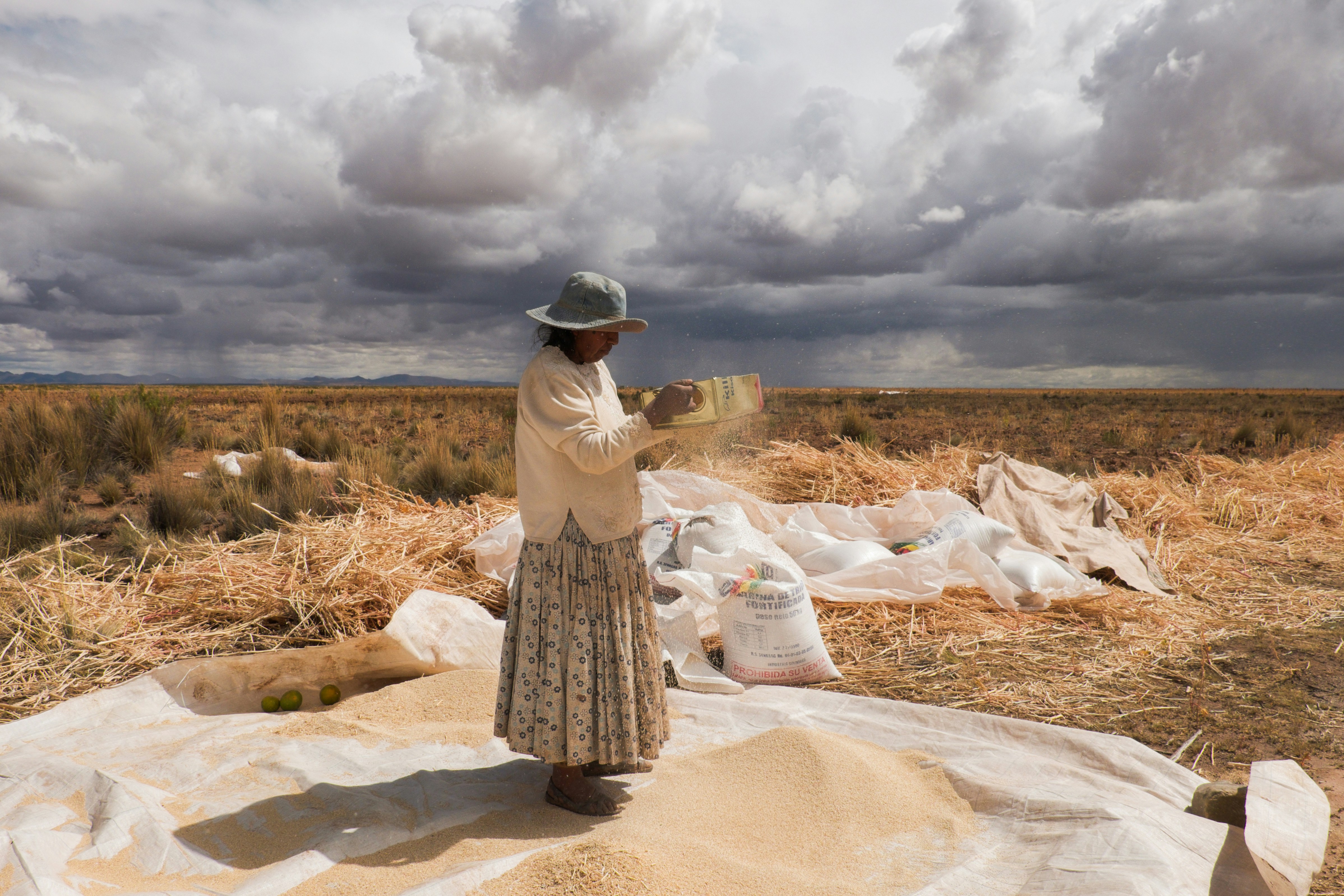 Free Unsplash photo from Alejandro Loayza Grisi