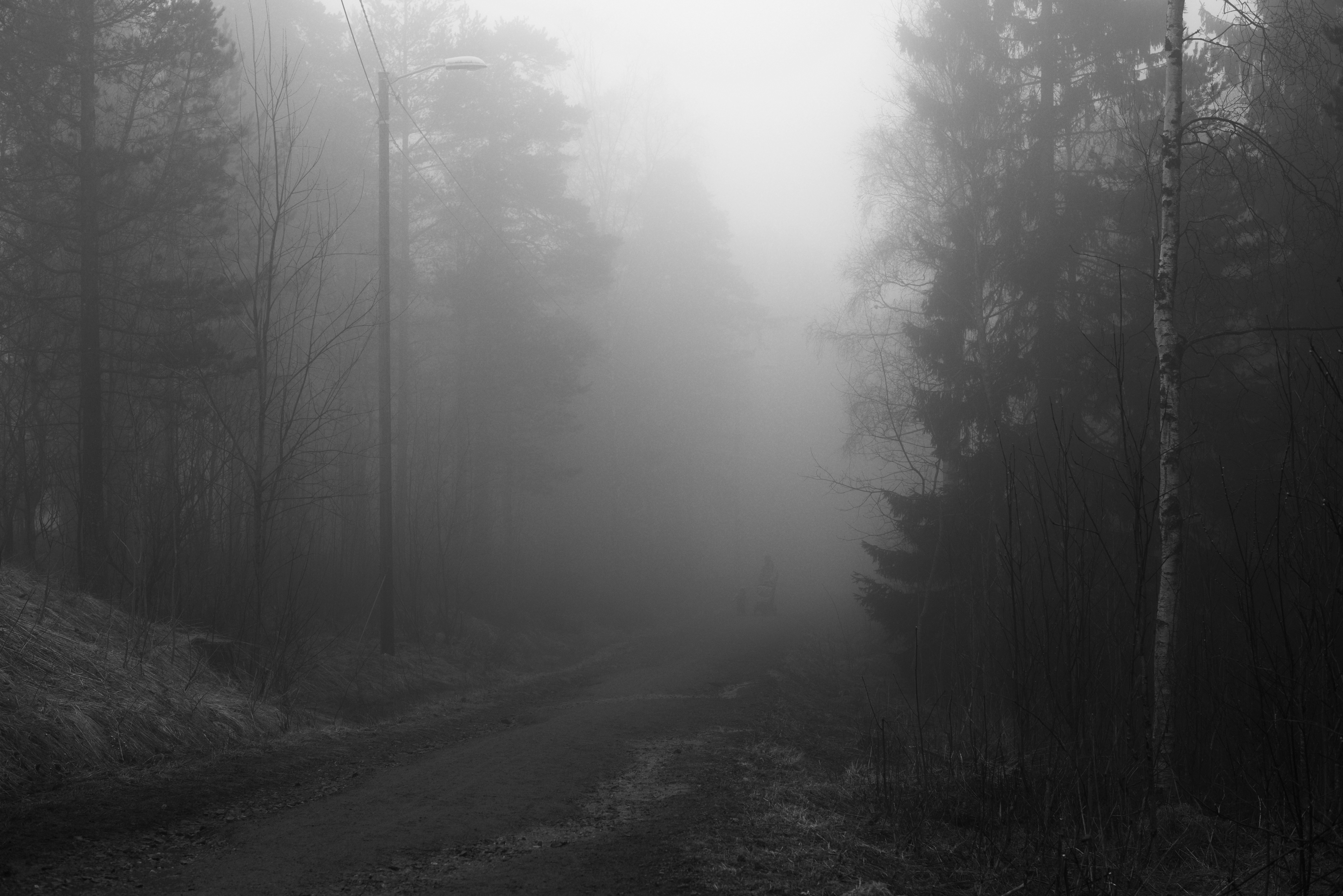 Free Unsplash photo from Tord Sollie