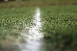 Before and after view of a sports field upgraded with high-quality synthetic grass and clear markings.