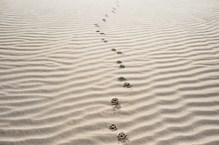 footprints on sand