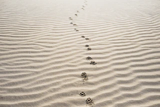 footprints on sand