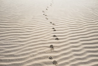 footprints on sand
