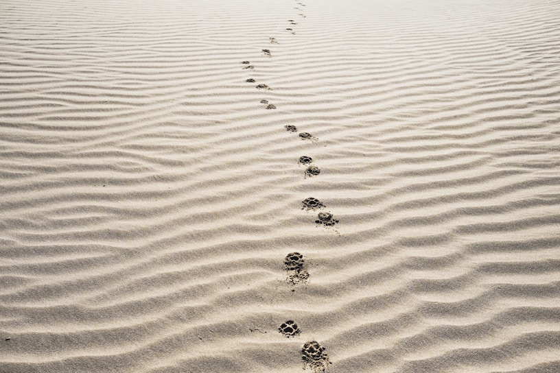footprints on sand
