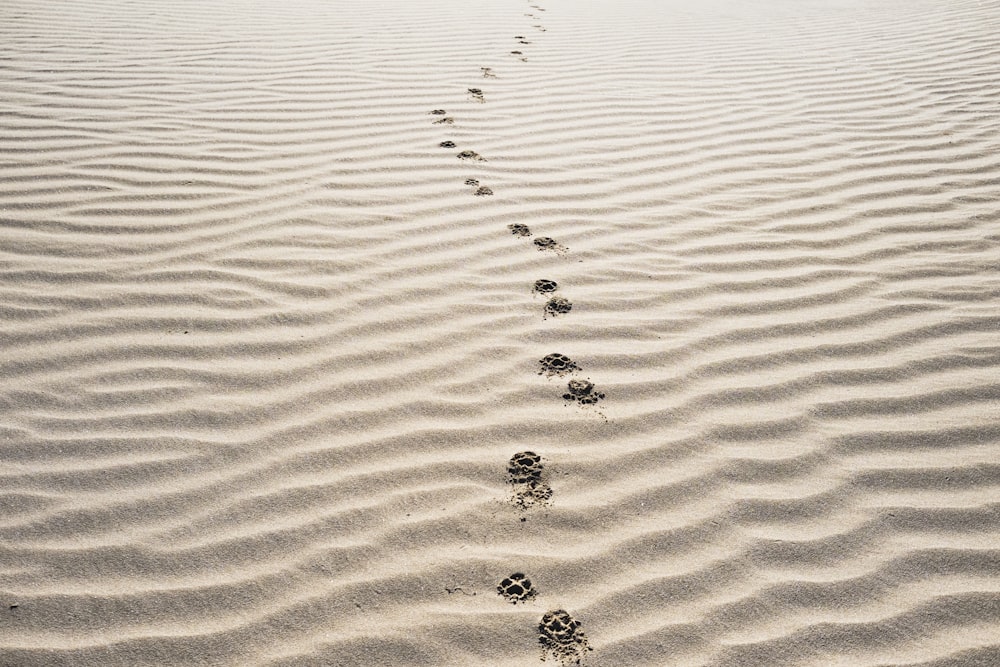 Empreintes de pas sur le sable