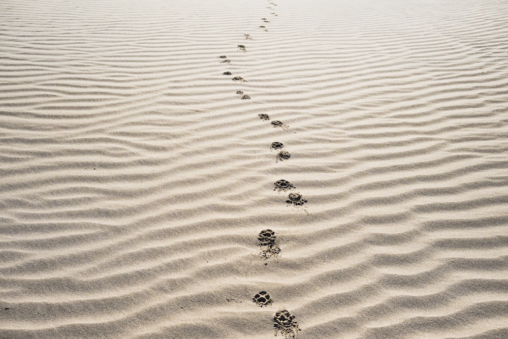 footprints on sand