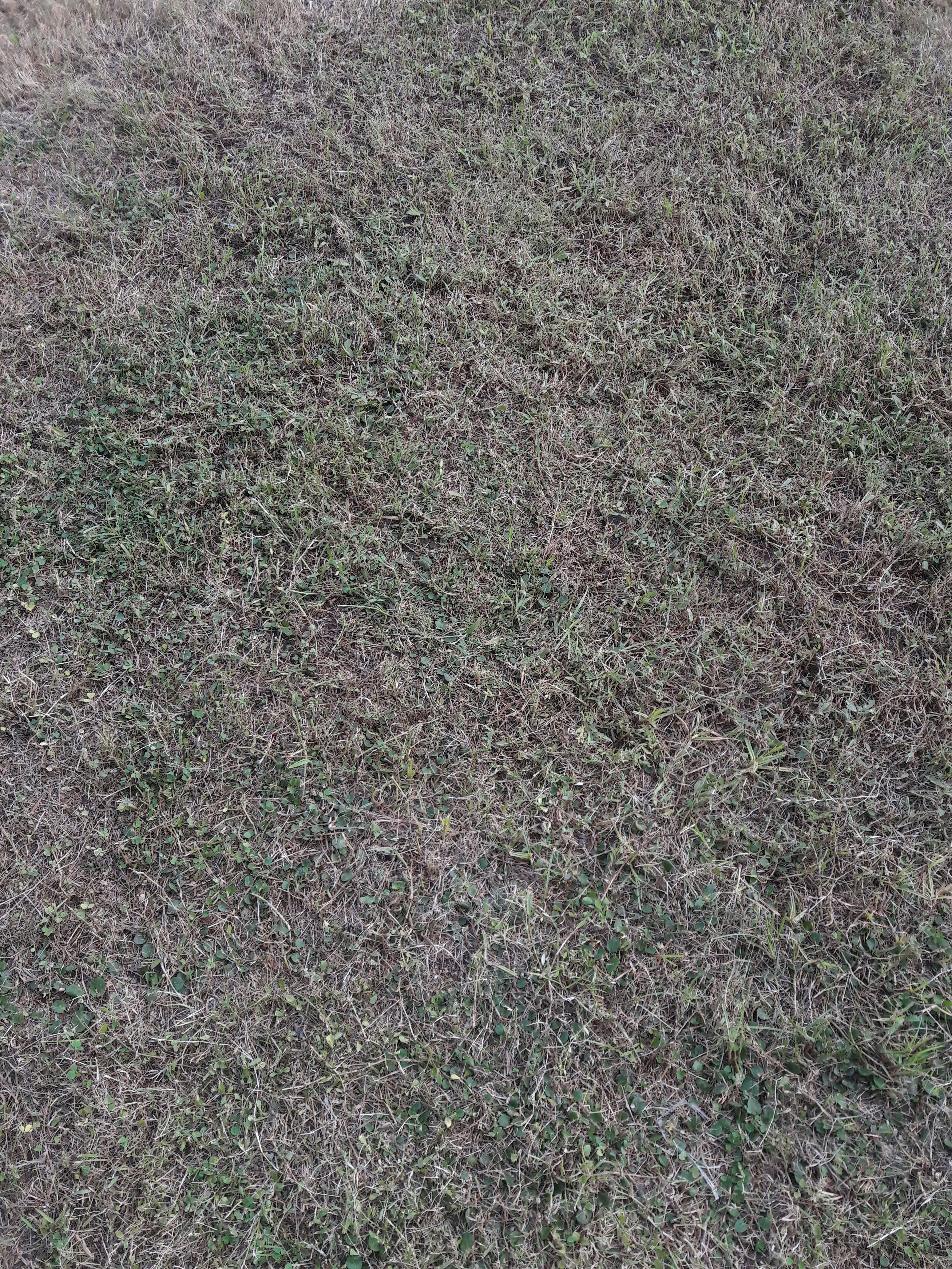 Free Unsplash photo from santosh sahoo